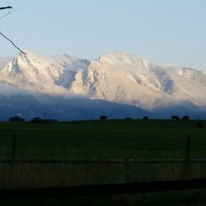 Meet your Posher, Patty